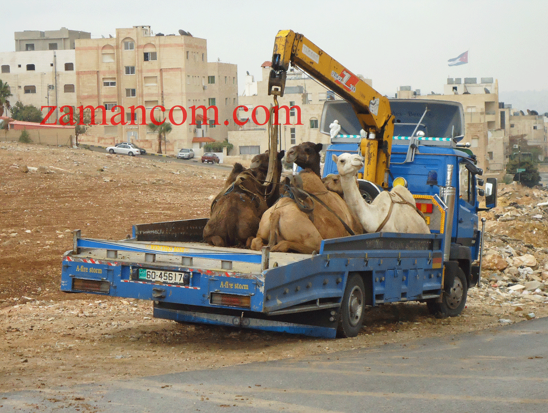 صورة من عمان/ 2012